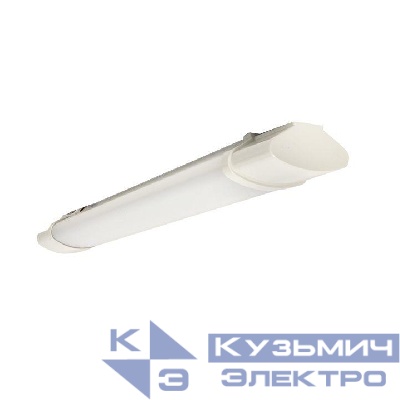 Светильник светодиодный ДСП-1001 18Вт 4000К IP65 600мм пылевлагозащ. PROxima EKF TPL-1001-18-4000