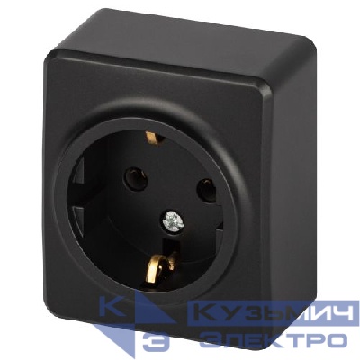 Розетка 1-м ОП Эксперт 11-2203-05 16А IP20 250В 2P+E Schuko антрацит Эра Б0063008
