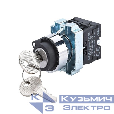 Переключатель NP2-BG25 2 положения фиксацией 1НО+1НЗ IP40 (R) CHINT 573988