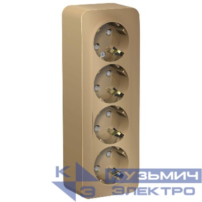 Розетка 4-м ОП Blanca 16А IP20 250В с заземл. защ. шторки с изолир. пластиной титан SE BLNRA011414