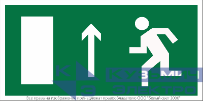 Пластина BL-4020.E12 "Напр. к эвакуационному выходу прямо (лев.)" Белый свет a12785