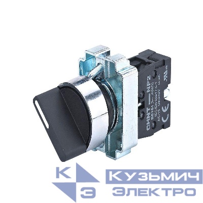 Переключатель NP2-BD21 2 положения фиксацией 1НО IP40 (R) CHINT 573977
