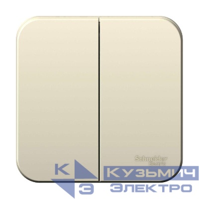 Выключатель 2-кл. ОП Blanca 10А IP20 (сх. 5) 250В с изолир. пластиной молочн. SE BLNVA105012