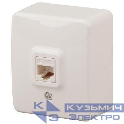 Розетка компьютерная ОП Эксперт RJ45 11-3203-02 IP20 сл. кость Эра Б0020731
