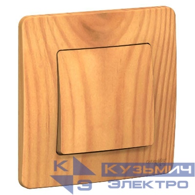 Выключатель 1-кл. СП Blanca 10А IP20 (сх. 1) 250В ясень SE BLNVS010105