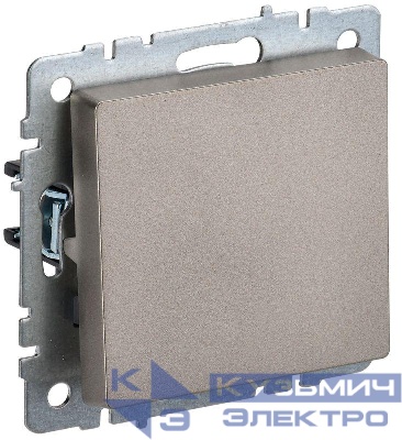 Выключатель 1-кл. СП BRITE ВС10-1-0-БрШ 10А механизм шампань IEK BR-V10-0-10-K37