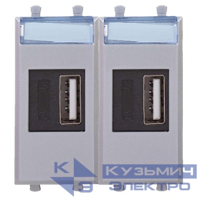 Устройство зарядное USB модульное 2мод. Avanti "Закаленная сталь" DKC 4404542