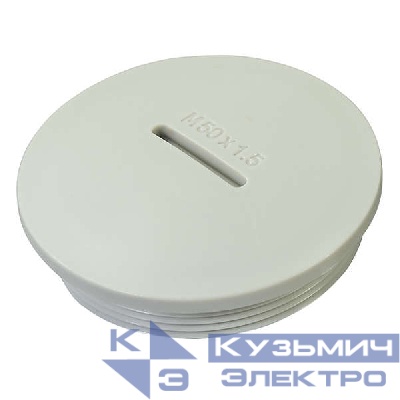 Заглушка PG48 резьбовое соединение полиамид сер. (уп.10шт) HAUPA 250230