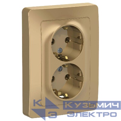 Розетка 2-м СП Blanca 16А IP20 250В с заземл. без защ. шторок титан SE BLNRS001024