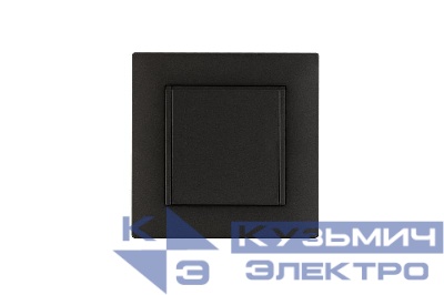 Розетка 1-м с крышкой Karea RIZZ STAR с заземл. дым. металлик Makel 88050029