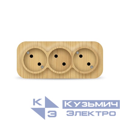 Розетка 3-м ОП 10А IP20 без заземл. сосна IONICH 1455