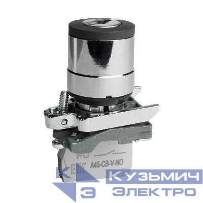 Переключатель OptiSignal D22 C4-SK-21 с ключем 2 положения металл 1НО XB4BG21 КЭАЗ 332170