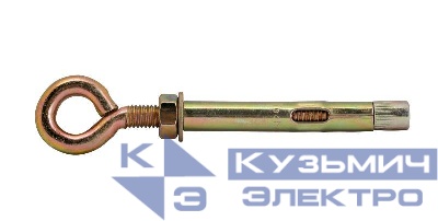 Болт анкерный с кольцом М10 12х100 Промрукав PR08.3944