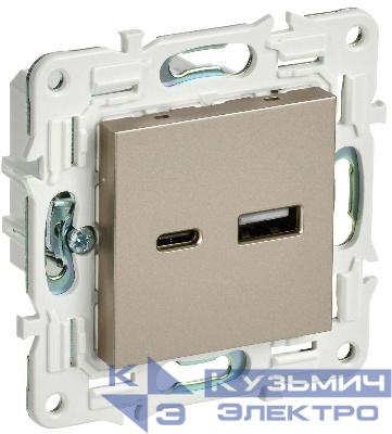 Розетка USB A+C 18Вт SKANDY SK-R13Sh шампань IEK SK-U22-018-K37