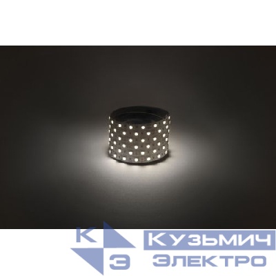 Лента светодиодная LS5050 -14.4-60-12-4000K-IP20-1 year-50m дневн. бел. (уп.50м) Эра Б0059926