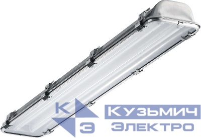 Светильник INOX 228 HF 2х28Вт G5 IP65 потолочный СТ 1077000050