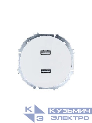 Розетка 2-м СП OSEN USB разъем бел. LEZARD 743-0288-192