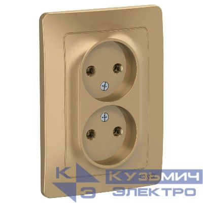 Розетка 2-м СП Blanca 16А IP20 250В без заземл. без защ. шторок титан SE BLNRS000024