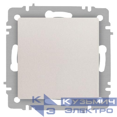 Переключатель 1-кл. СП Accent 6-103-06 10А IP20 250В AL/CU перламутр. Intro Б0063432