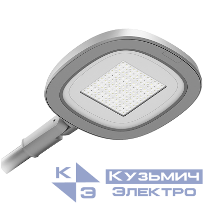 Светильник светодиодный SKYLINE LED 60W DW1 730 RAL9005 СТ 1707001100