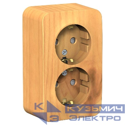 Розетка 2-м ОП Blanca 16А IP20 250В с заземл. защ. шторки с изолир. пластиной ясень SE BLNRA011215