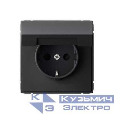 Розетка ArtGallery 16А IP20 с заземл. защ. шторки с крышкой механизм карбон SE GAL001046