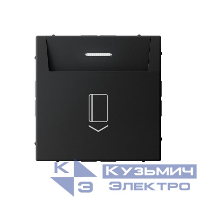Выключатель карточный ArtGallery 10А без задержки времени быстрозажим. клем. карбон SE GAL001014S
