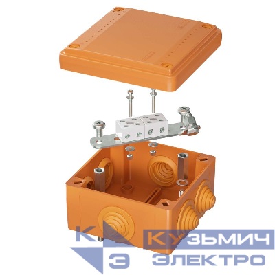 Коробка ответвительная FS 100х100х50мм IP55 4п 450В 6А 4кв.мм с кабельными вводами и клеммниками пластик. DKC FSB11404