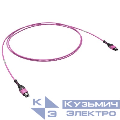 Сборка оптическая соединительная 12ОВ 50/125 OM4 1xMTP PRO(12)/1xMTP PRO(12) 10м DKC RNTMM12410