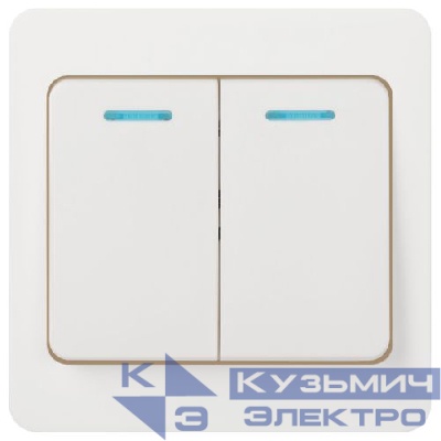 Выключатель 2-кл. СП Style 7-105-01 10А IP20 250В с подсветкой бел. Intro Б0060631