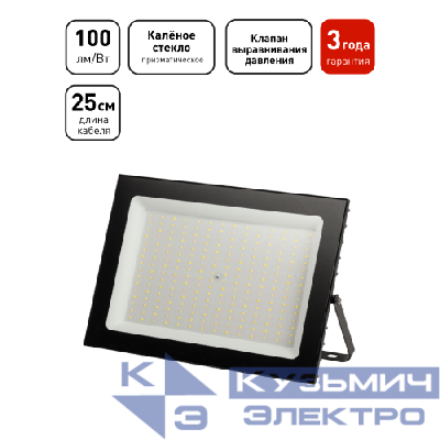 Прожектор светодиодный PRO LPR-062-0-65K-300 300Вт IP65 6500К призма Эра Б0065943