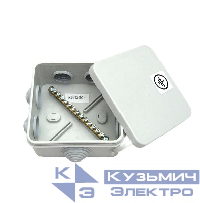 Коробка распределительная ОП 100х100х50мм IP55 для уравн. потенциалов HEGEL КУП2604-И