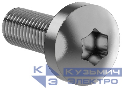Винт М6х16 TORX30 DIN7500C (уп.20шт) FORMAT IEK FO-00D-VTORX-M6X16-020