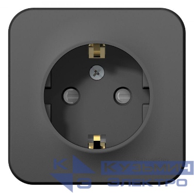 Розетка 1-м ОП Blanca 16А IP20 250В с заземл. защ. шторки антрацит SE BLNRA011106