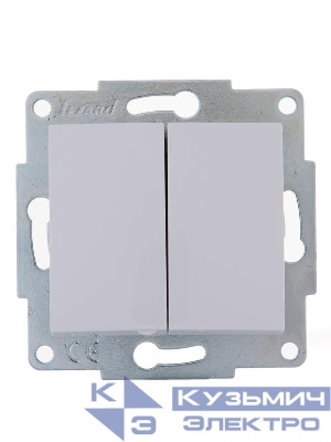 Выключатель 2-кл. 1п СП Karina 10А IP20 механизм бел. LEZARD 707-0288-101