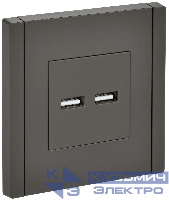 Розетка USB A+A 3.1А FORTE&PIANO FP349 сер. IEK FP-U21-D31-K03 0
