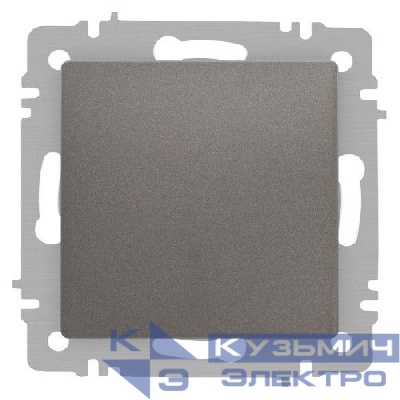 Кнопка Accent 6-109-09 10А-250В IP20 СУ титан Intro Б0063621