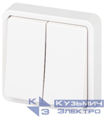 Выключатель Эксперт 11-1524-01 двойн. IP55 10АХ-250В СУ бел. Эра Б0063271