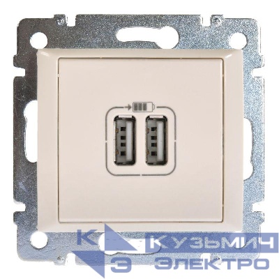 Розетка USB 2-м СП Valena механизм сл. кость (DIY-упак.) Leg 694372