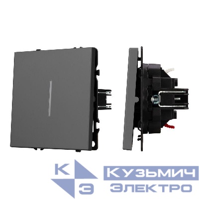 Выключатель непроходной 1-кл. LED SWT-NOBE-MK01-SFPL-L-GR 10А 230В механизм Arlight 054260