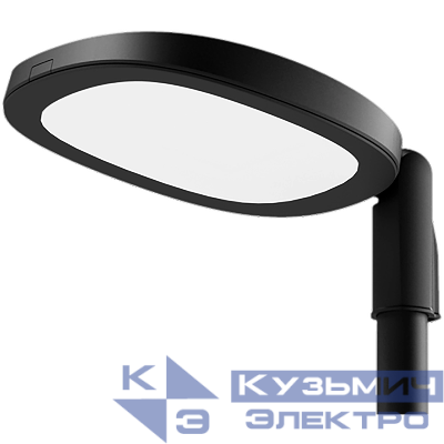 Светильник светодиодный SKYLINE LED 30 DK 4000К консольный RAL9005 СТ 1707000060