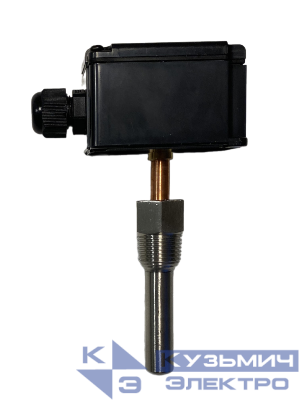 Датчик температуры погружной -50…150град.C NTC10к 100мм SE SPTN100