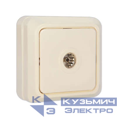 Розетка телевизионная TV 1-м ОП Олимп сл. кость UNIVersal Б-О0027