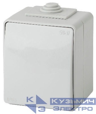 Выключатель 1-кл. ОП Эра Эксперт 10А IP65 11-1601-03 250В 10AX сер. Эра Б0035972