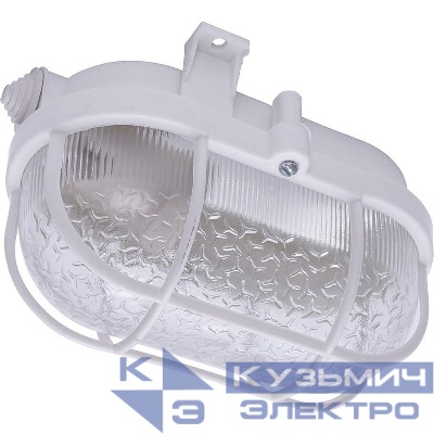 Светильник НБП 01-60-002 60Вт E27 IP54 220В накладной с решеткой FERON 41404