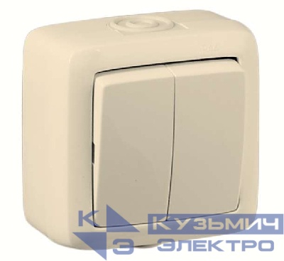 Выключатель 2-кл. ОП Альфа 10А IP44 250В без индикации сл. кость HEGEL ВА10-251-01