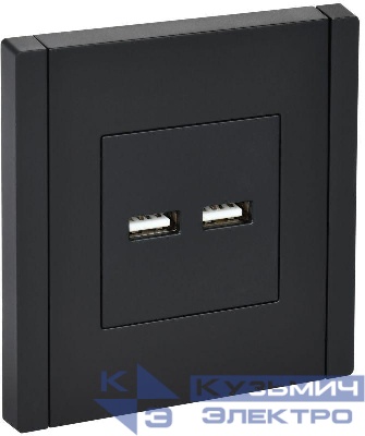 Розетка USB A+A 3.1А FORTE&PIANO FP149 черн. IEK FP-U21-D31-K02