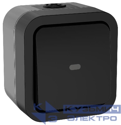 Переключатель 1-кл. ОП TORS 10А IP55 TS102 с индикацией графит IEK TS-V10-1-10-55-K53