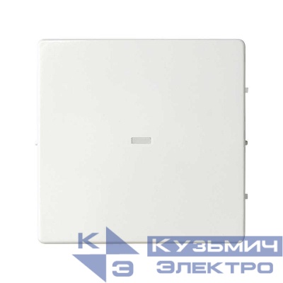 Клавиша с окном подсветки бел. Simon82 Detail 8200011-030