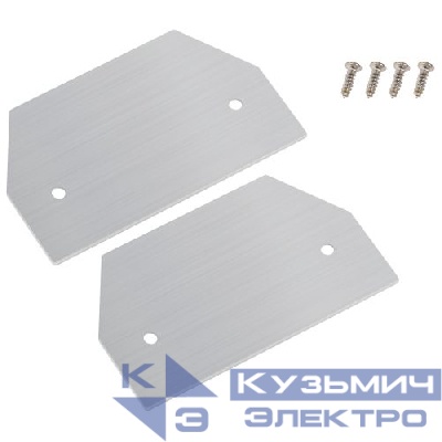 Заглушка TR-1PTR-RMP-EC торцевая для алюм. профиля (уп.2шт) Эра Б0058752